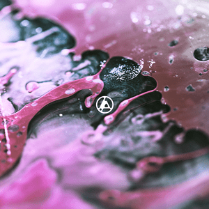 LINKIN PARK — FROM ZERO (IMP)