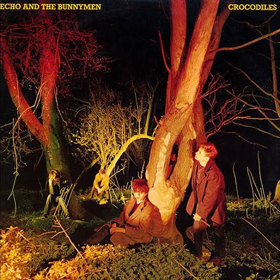 ECHO AND THE BUNNYMEN — CROCODILES