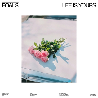 FOALS — LIFE IS YOURS