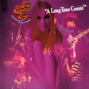 ELECTRIC FLAG THE — A LONG TIME COMIN